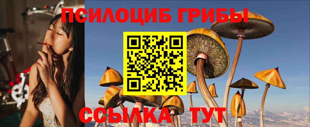 Сафоново  Галлюциногенные грибы Psilocybine cubensis  Псилоцибиновые грибы мухоморы  Вход с VPN 