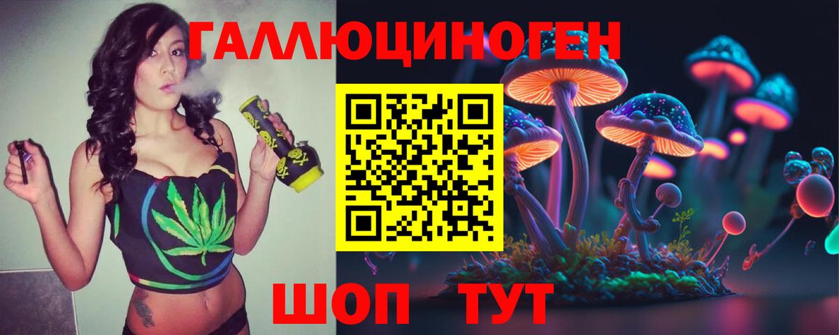 Галлюциногенные грибы Psilocybe Сафоново